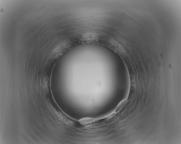 X0000074290662200609011408