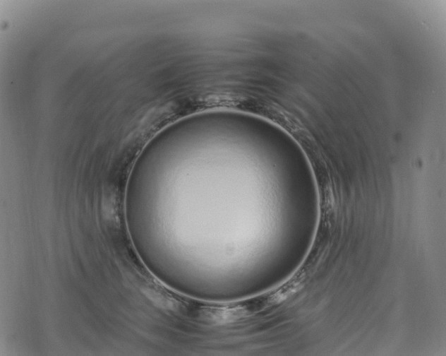 X0000074290663200609011408