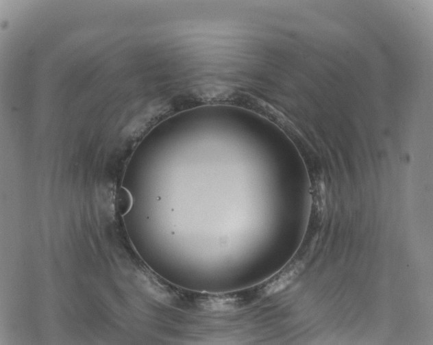 X0000074290664200609011408