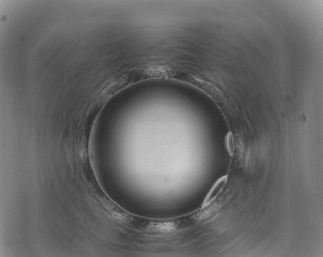 X0000074290665200609011408