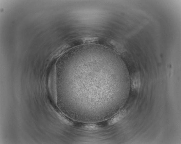 X0000074290666200609011408