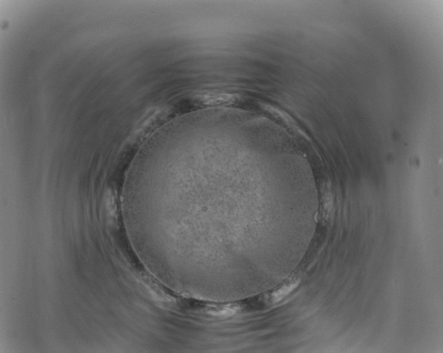 X0000074290667200609011408