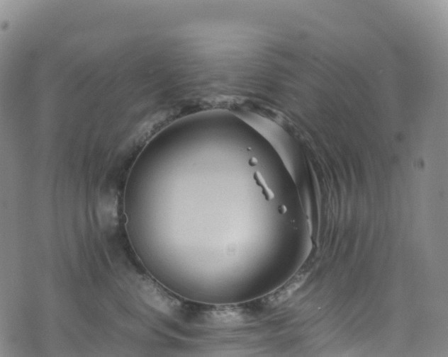 X0000074290668200609011408