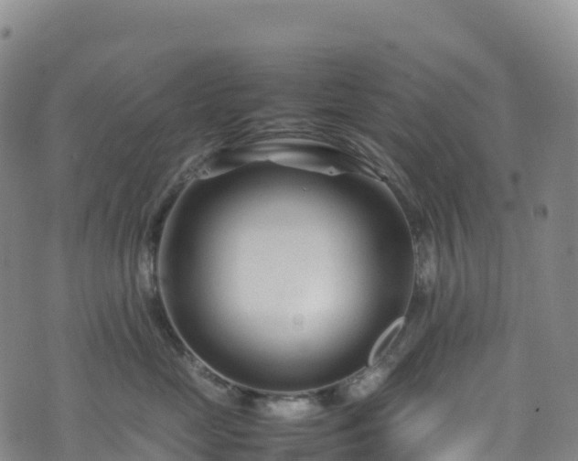 X0000074290669200609011408