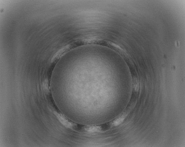 X0000074290670200609011408