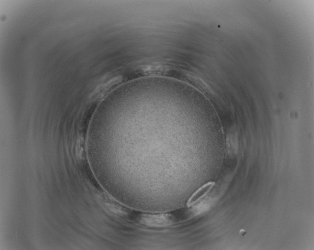 X0000074290671200609011408