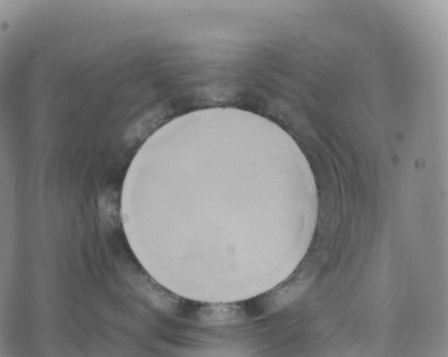 X0000074290672200609011408