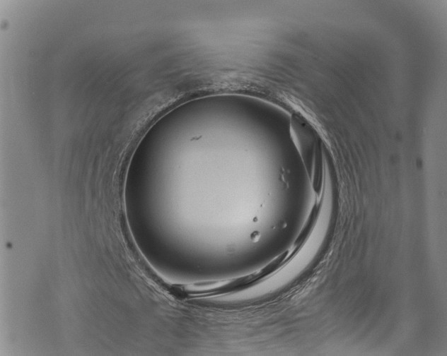 X0000074290673200609011408