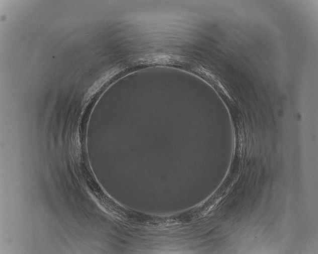 X0000074290674200609011408