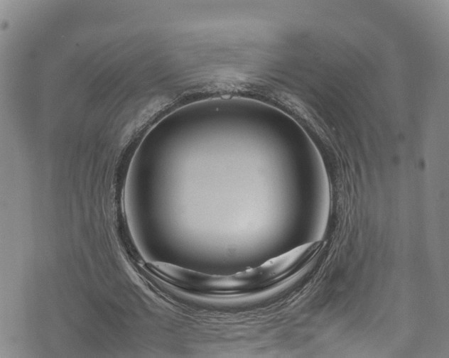 X0000074290677200609011407