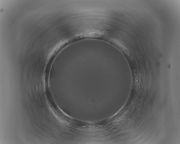 X0000074290678200609011407