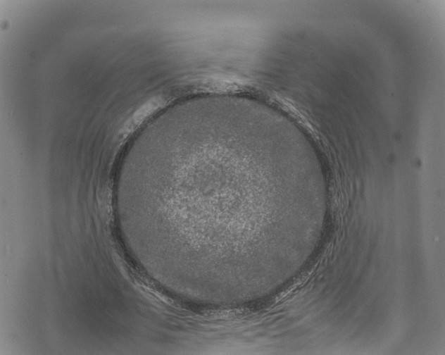 X0000074290679200609011407