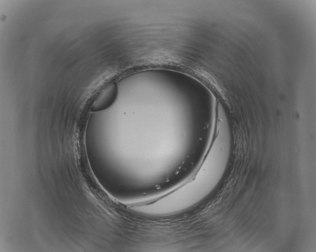 X0000074290680200609011407