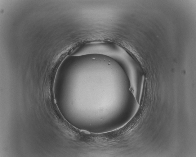 X0000074290681200609011407