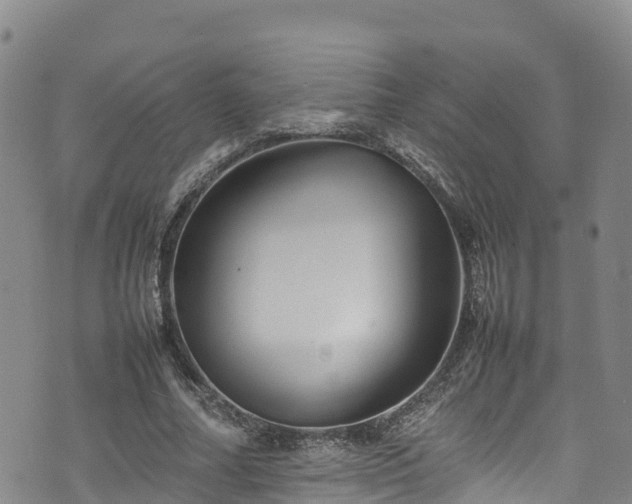 X0000074290682200609011407