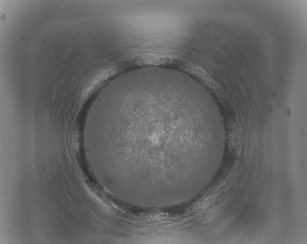 X0000074290683200609011407