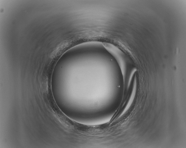 X0000074290685200609011407