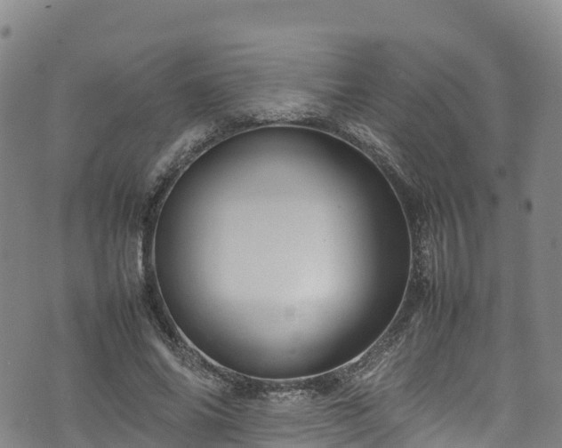 X0000074290686200609011407