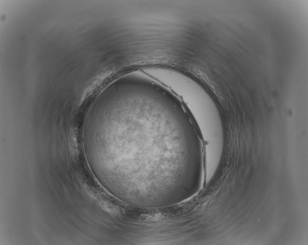 X0000074290688200609011407