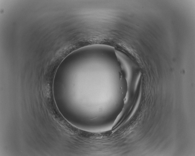 X0000074290689200609011407