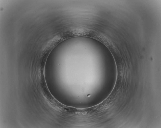 X0000074290690200609011407