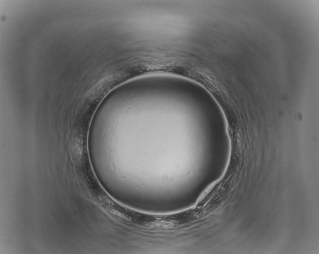 X0000074290691200609011407