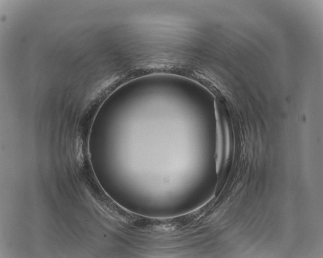 X0000074290692200609011407