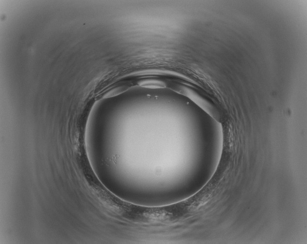 X0000074290693200609011407