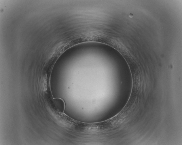 X0000074290694200609011407