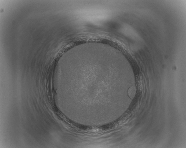 X0000074290695200609011407