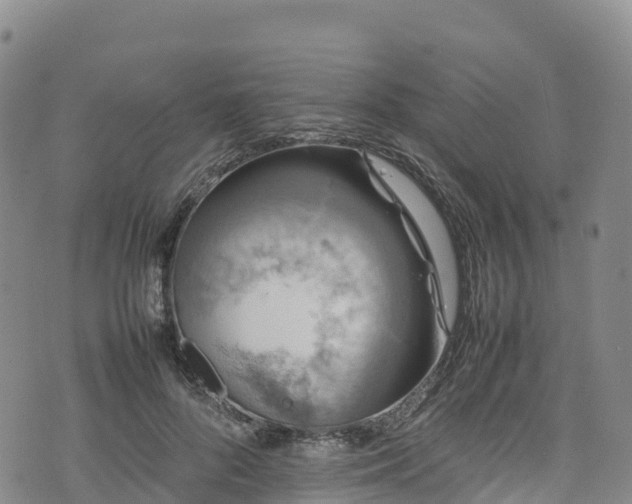 X0000074290696200609011407