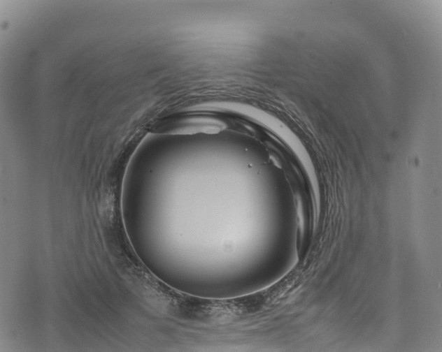 X0000074290697200609011407