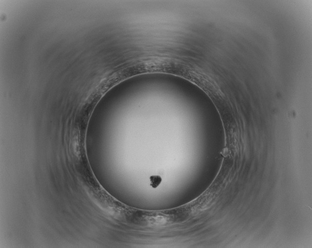 X0000074290698200609011407