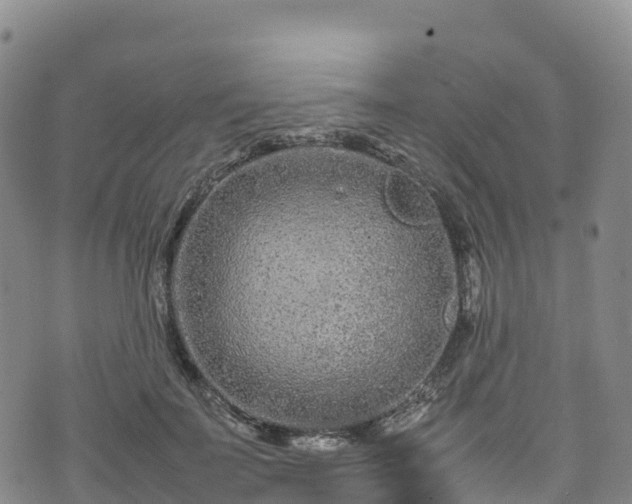 X0000074290699200609011407