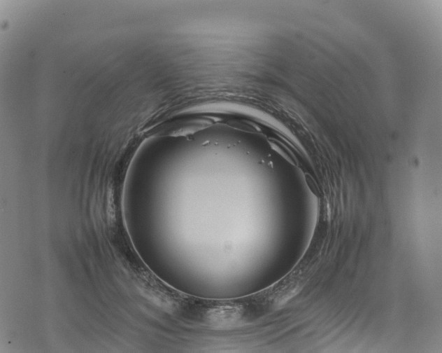 X0000074290700200609011407