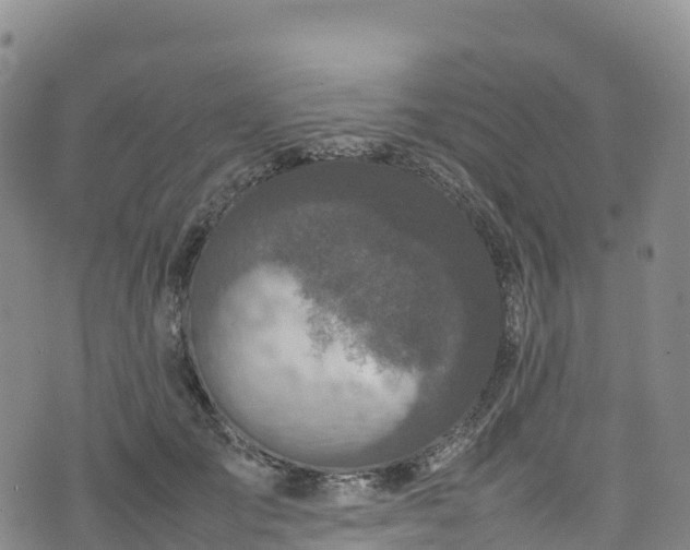 X0000074290701200609011407