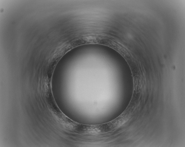 X0000074290702200609011407