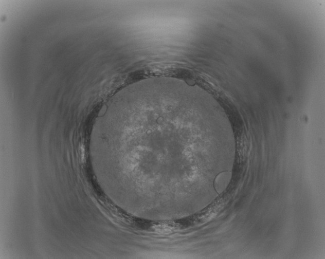 X0000074290703200609011407