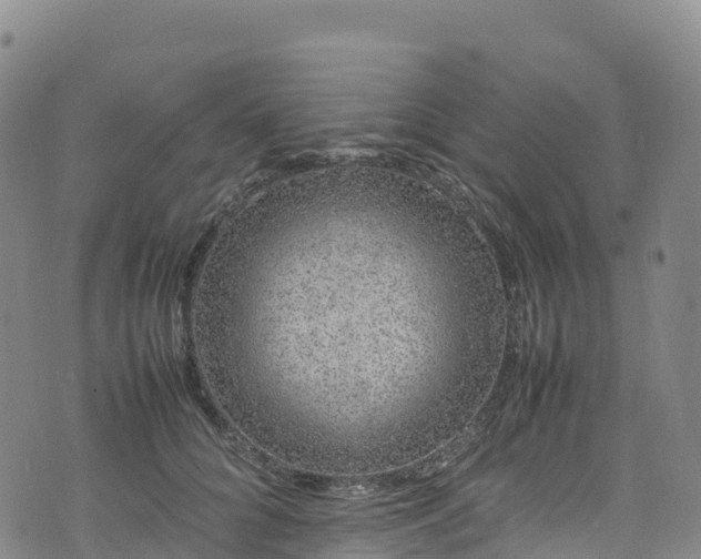 X0000074290704200609011407