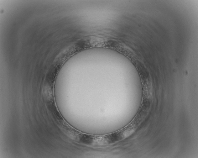 X0000074290705200609011407