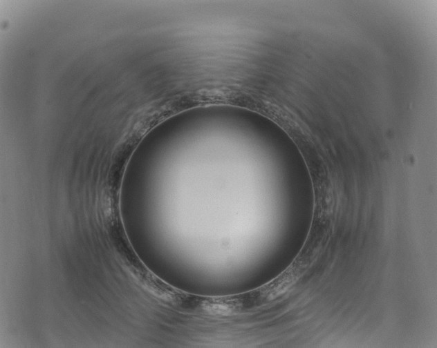 X0000074290706200609011407