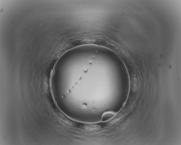 X0000074290707200609011407