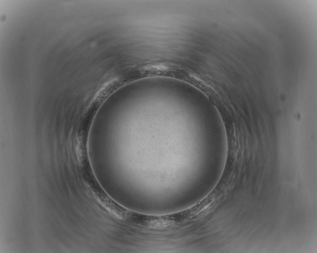 X0000074290708200609011407