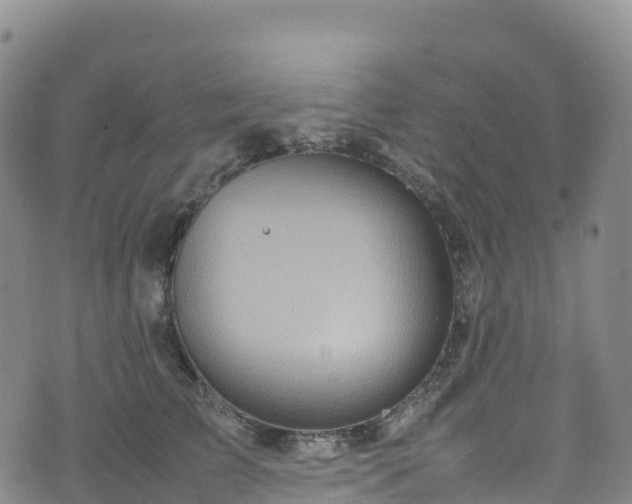 X0000074290709200609011407