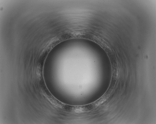 X0000074290710200609011407