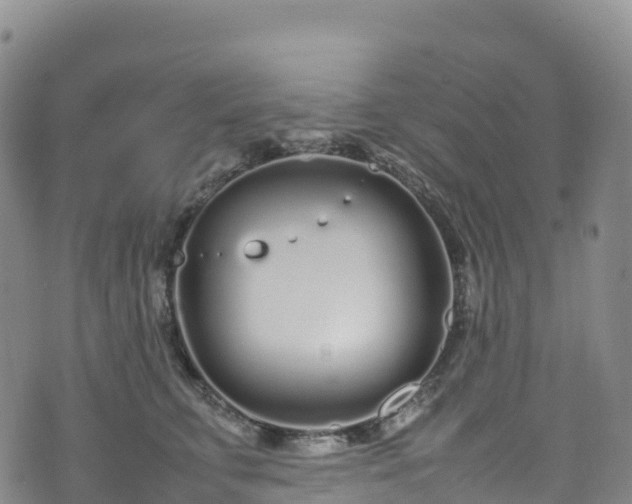 X0000074290711200609011407