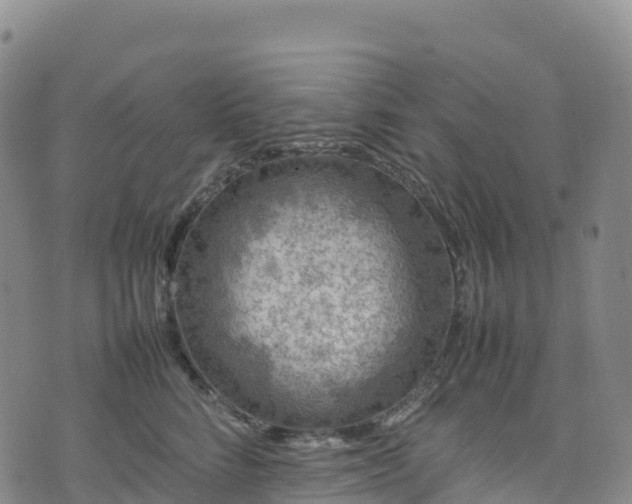 X0000074290712200609011407