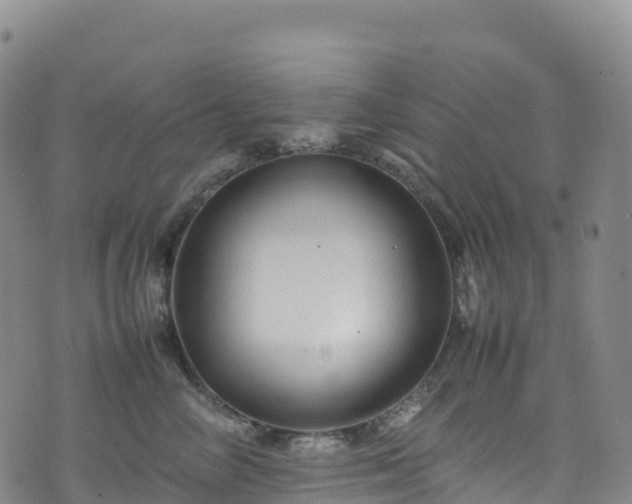 X0000074290714200609011407