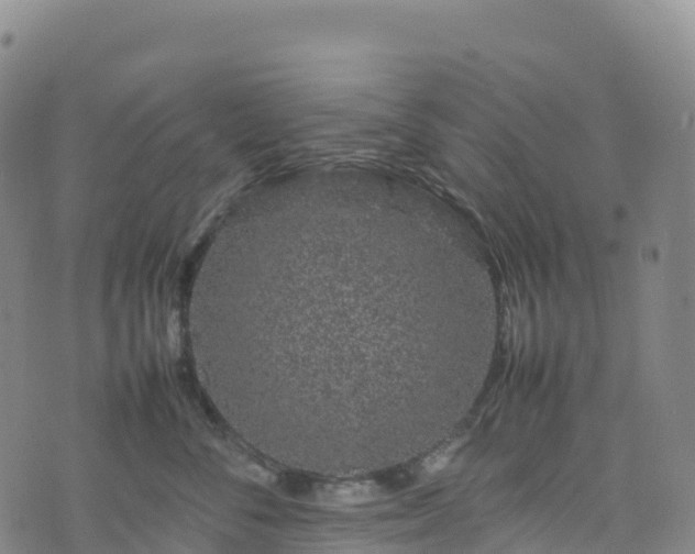 X0000074290716200609011407