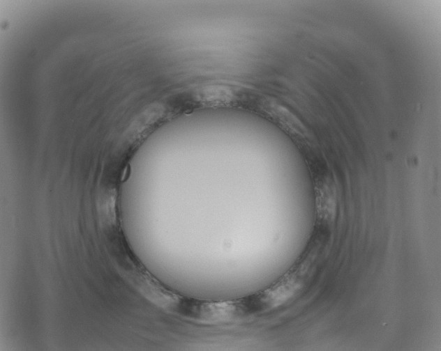 X0000074290717200609011407